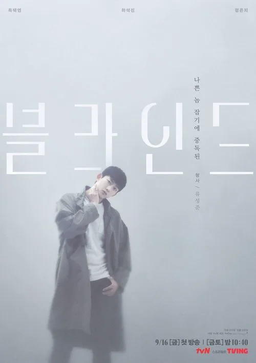 블라인드 포스터